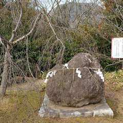 投稿日:2024年2月3日 写真