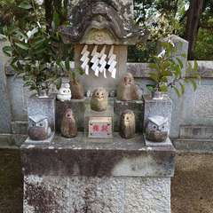 投稿日:2024年2月3日 写真