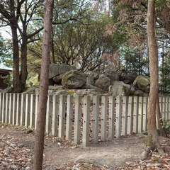 投稿日:2024年2月3日 写真