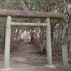 投稿日:2024年2月3日 写真