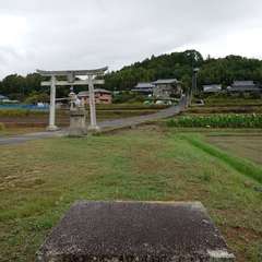 写真