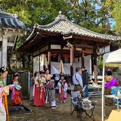 投稿日:2025年11月24日 写真