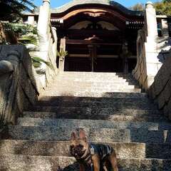 写真