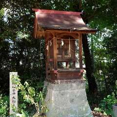 投稿日:2025年9月21日 写真