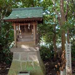 投稿日:2025年9月21日 写真