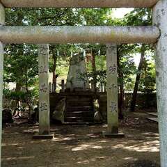 投稿日:2025年9月21日 写真