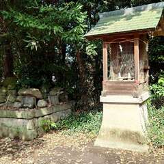 投稿日:2025年9月21日 写真