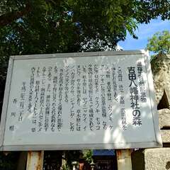 投稿日:2025年9月21日 写真