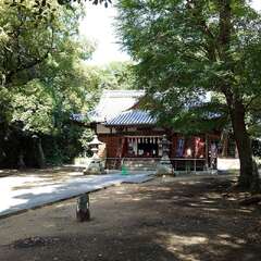 投稿日:2025年9月21日 写真