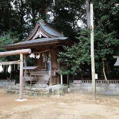 投稿日:2025年2月22日 写真