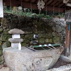 投稿日:2025年2月22日 写真