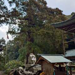 投稿日:2025年2月22日 写真