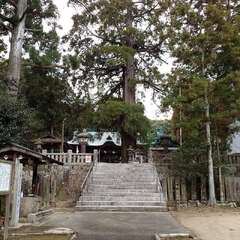 投稿日:2025年2月22日 写真