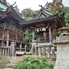 投稿日:2025年2月22日 写真