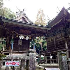 投稿日:2025年2月22日 写真