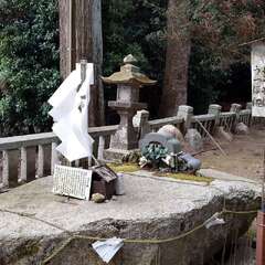 投稿日:2025年2月22日 写真