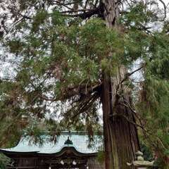 投稿日:2025年2月22日 写真