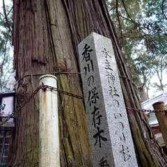 投稿日:2025年2月22日 写真