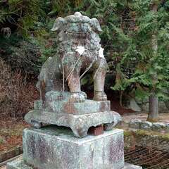 投稿日:2025年2月22日 写真