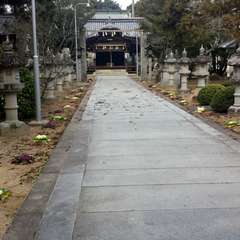 投稿日:2016年1月28日 写真