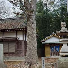 投稿日:2023年12月21日 写真