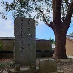 投稿日:2023年12月21日 写真