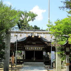 投稿日:2025年7月2日 写真