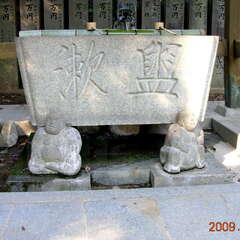 投稿日:2025年8月8日 写真