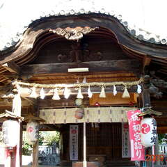 投稿日:2025年8月8日 写真