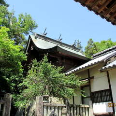 投稿日:2025年7月2日 写真