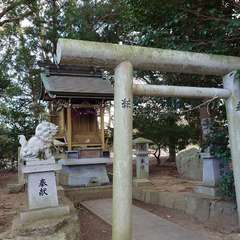 投稿日:2023年12月21日 写真