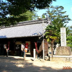 投稿日:2025年8月8日 写真