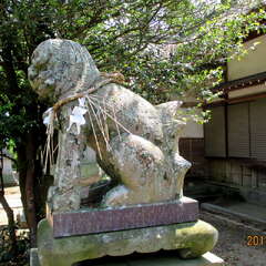 投稿日:2025年7月2日 写真