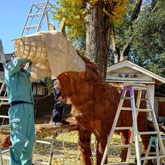 恒例の干支のオブジェ制作に遭遇!竹の骨組みと、山から取って来た樹皮だそうです(投稿日:2025年12月7日) 写真