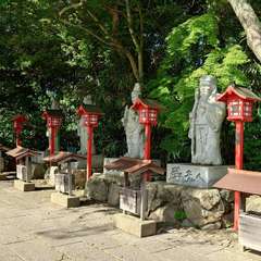 投稿日:2024年6月6日 写真