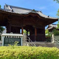 投稿日:2024年6月6日 写真