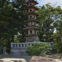 投稿日:2024年6月6日 写真