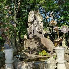 投稿日:2024年6月6日 写真