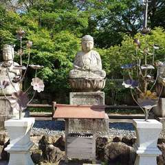 投稿日:2024年6月6日 写真