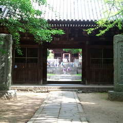 投稿日:2022年1月3日 写真