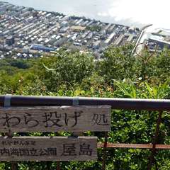 投稿日:2024年6月6日 写真