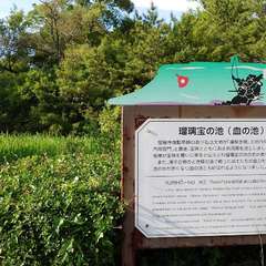 投稿日:2024年6月6日 写真