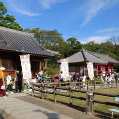 投稿日:2024年6月6日 写真