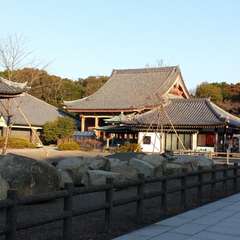 投稿日:2016年1月11日 写真