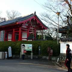 投稿日:2016年1月11日 写真