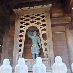 投稿日:2024年6月6日 写真