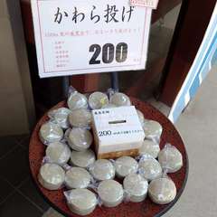 投稿日:2024年6月6日 写真