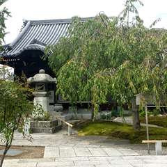 投稿日:2015年8月26日 写真