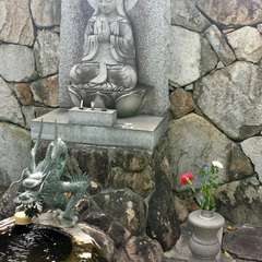 投稿日:2015年8月26日 写真