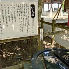 投稿日:2024年5月26日 写真